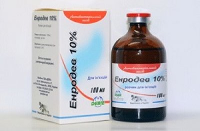 Енродев 10% 100 мл