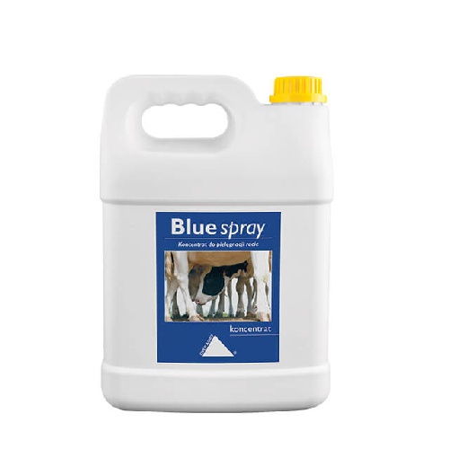 Концентрат Blue spray