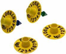 Вушна бірка MINI-NEOFLEX кругла, для поросят, свиней, овець і кіз, жовта